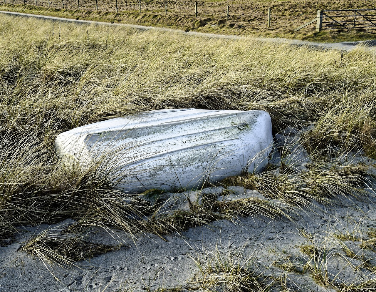 boat grass farmland free photo