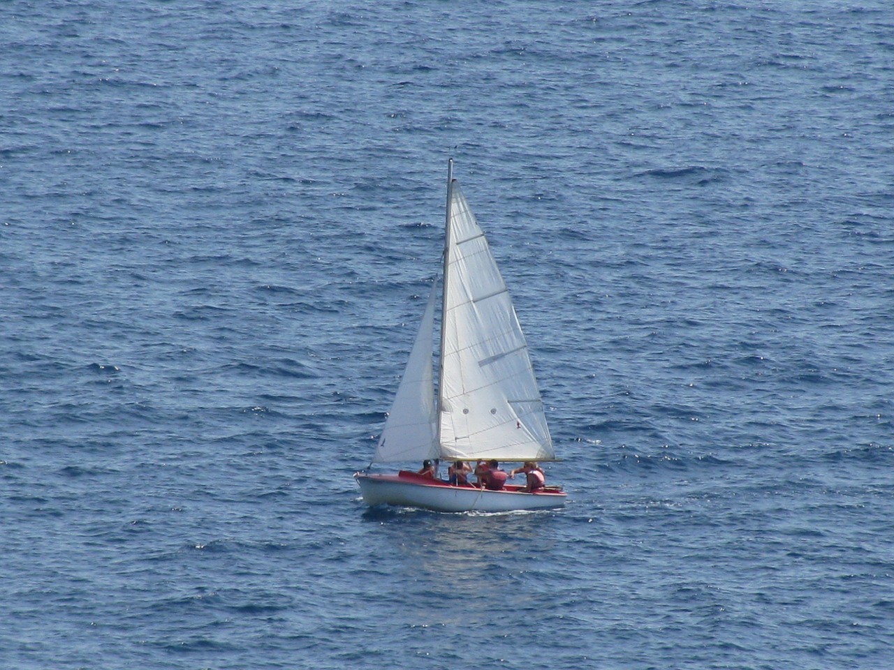 sail boat sailing boat free photo