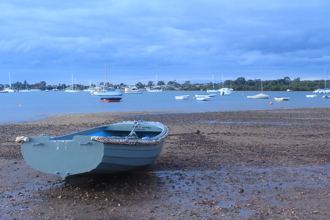 boat sailing sea free photo