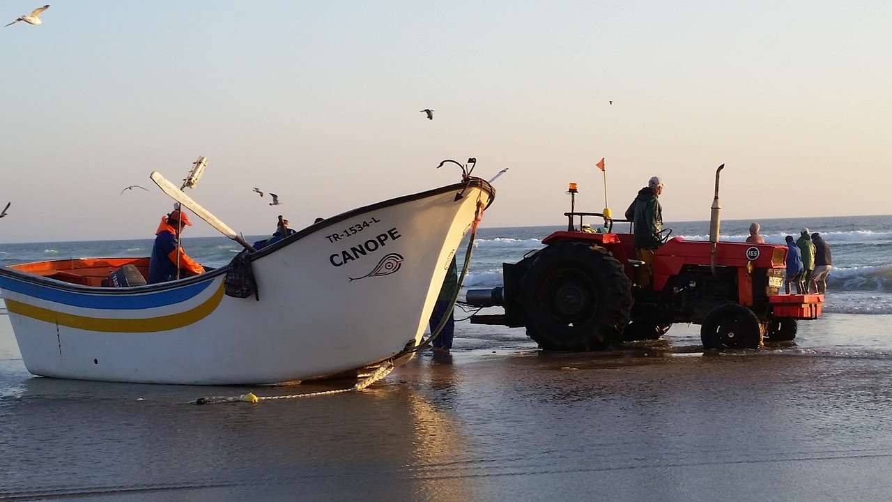 boat sea beach free photo