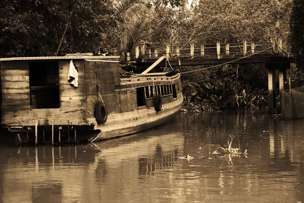 boat bridge trees free photo