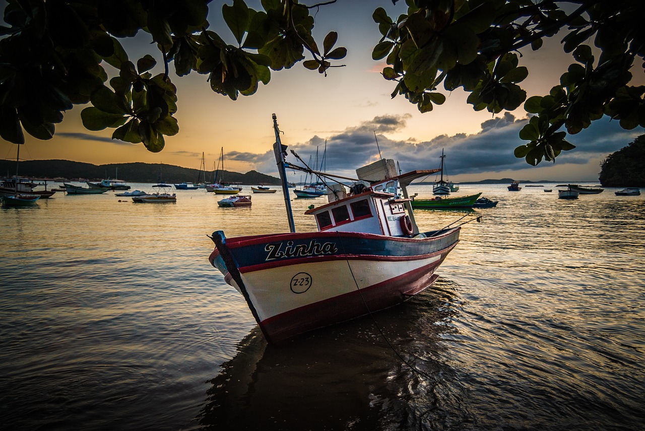 boat beach brazil free photo