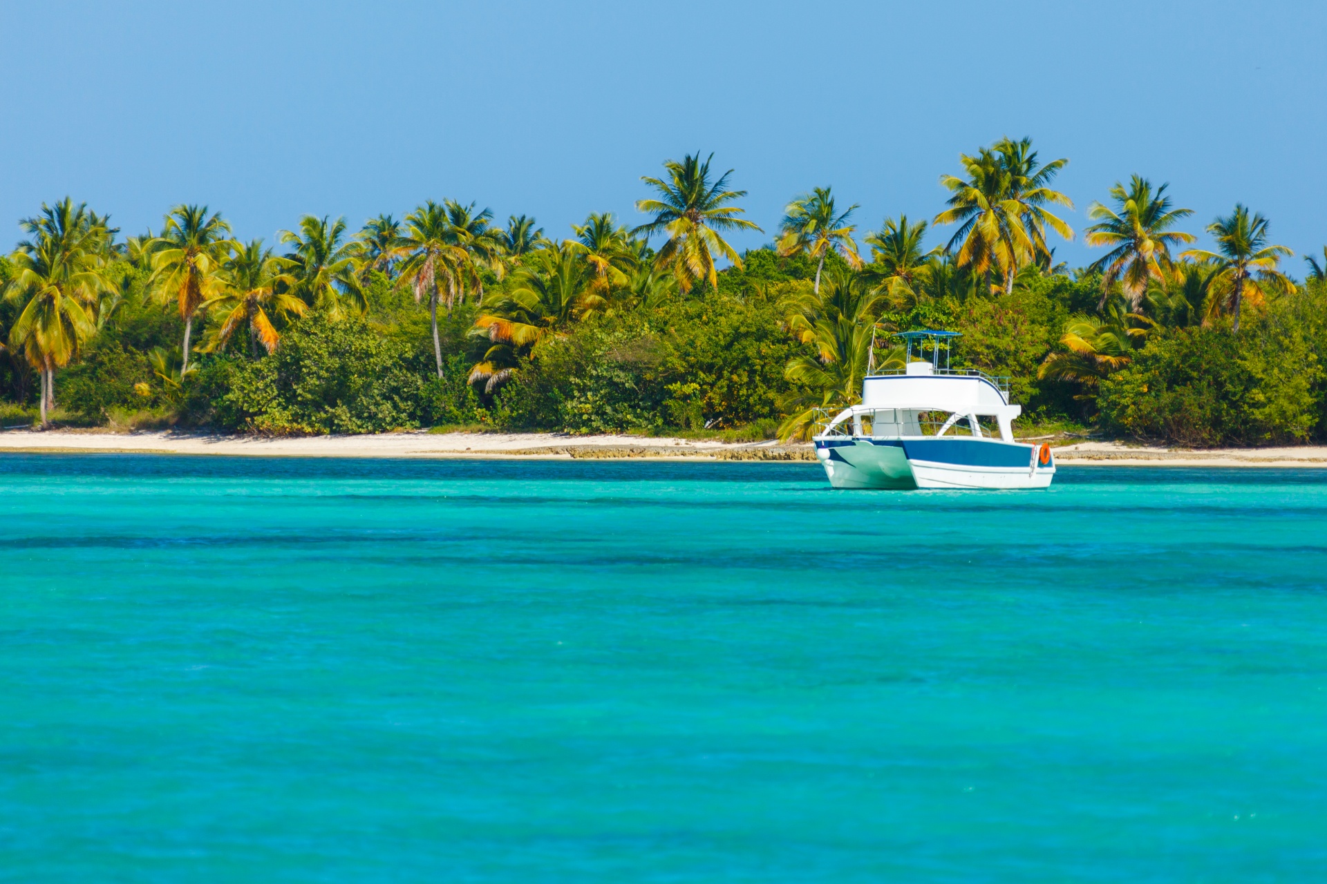 background beach boat free photo