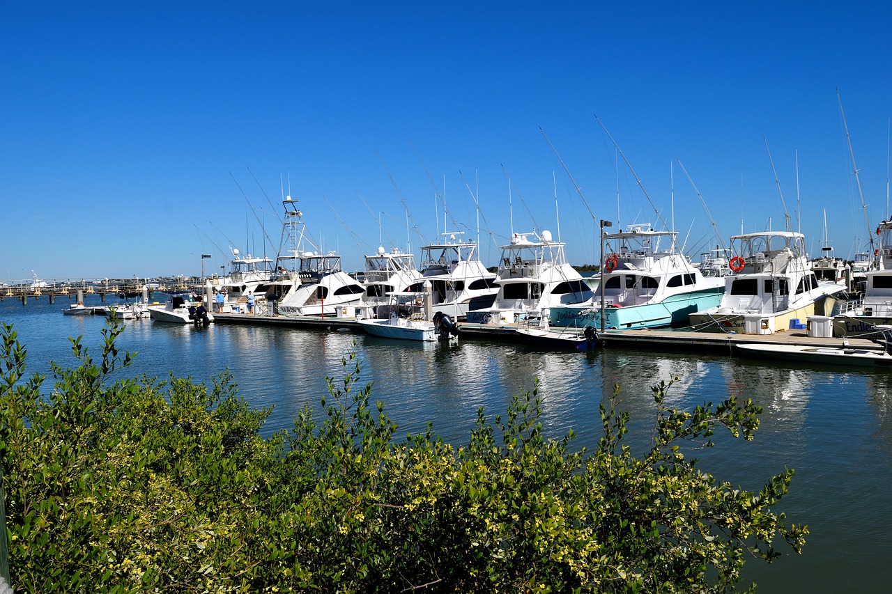 boat marina  boats  yacht free photo