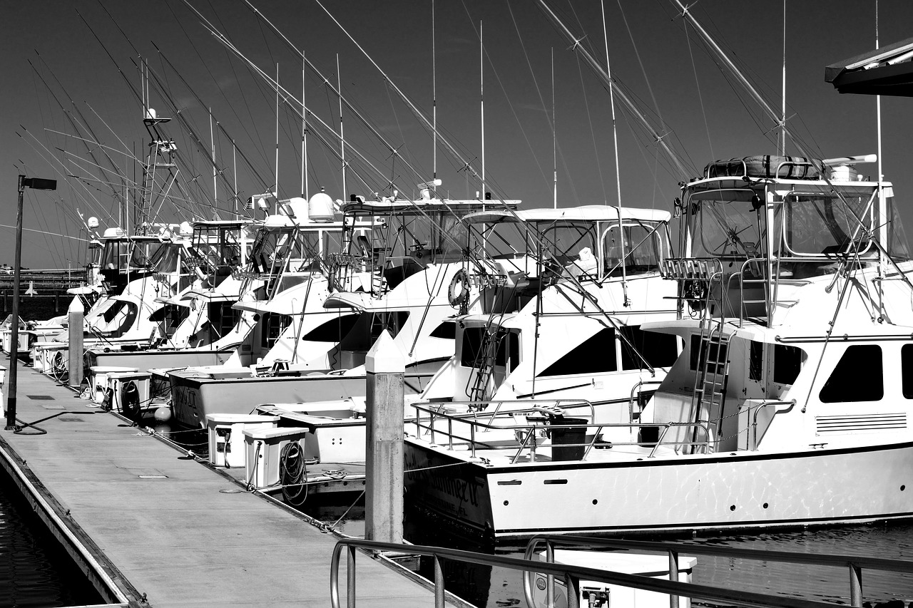 boat marina  boats  yacht free photo
