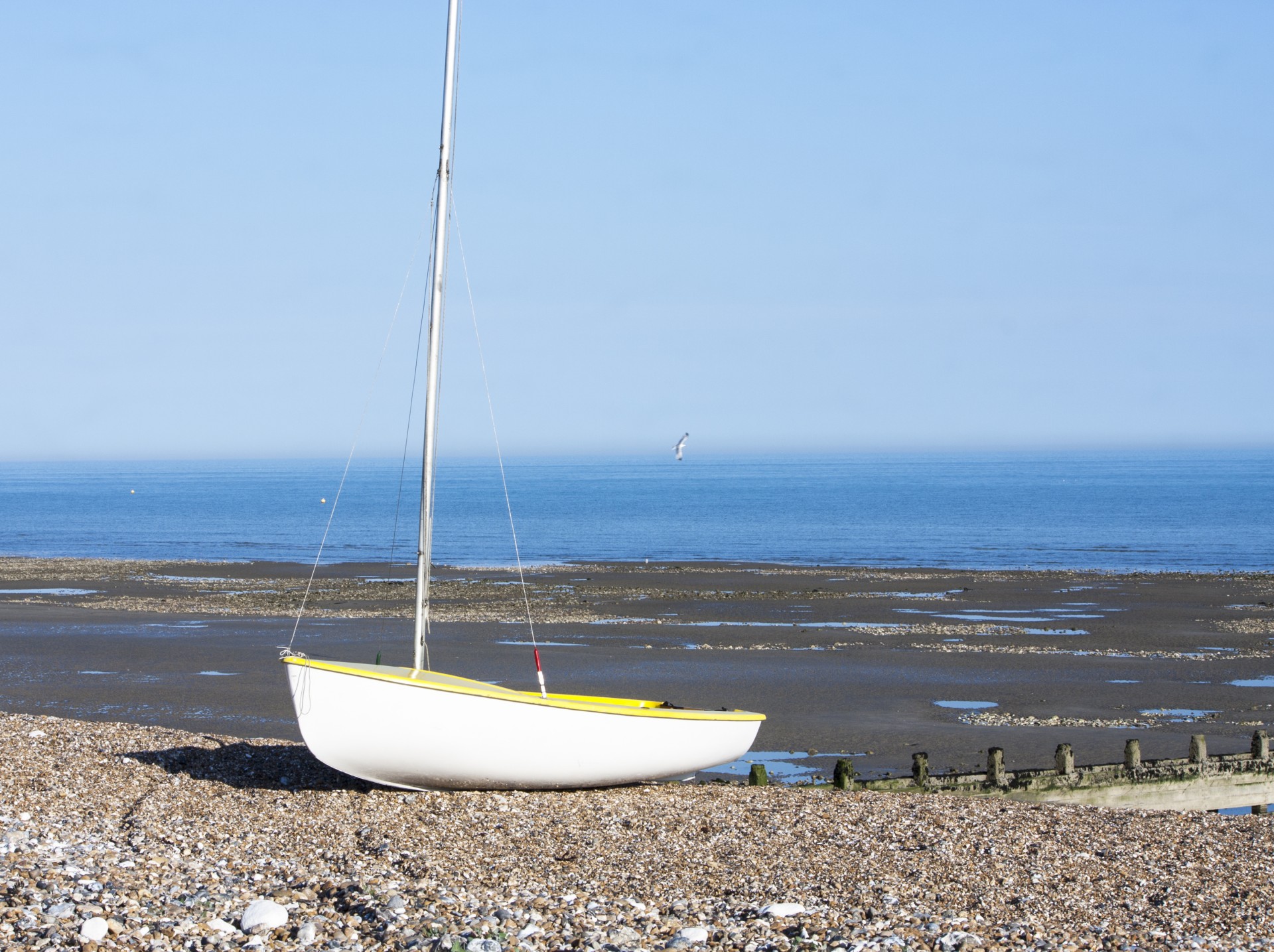 boat beach sea free photo