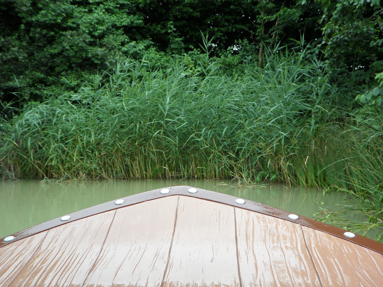 boat trip bug shipping free photo