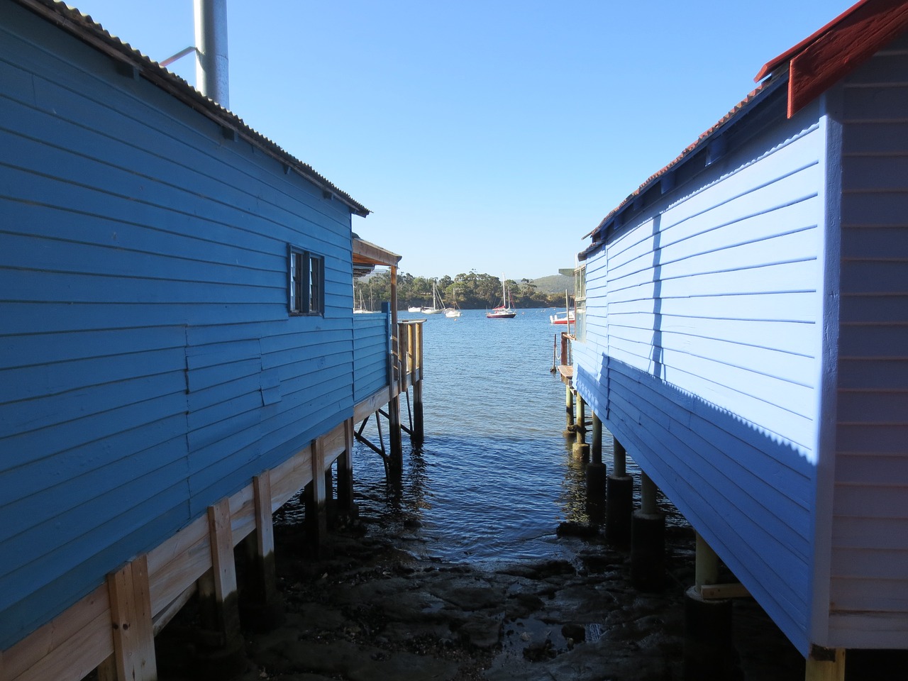 boathouse boathouses waterfront free photo