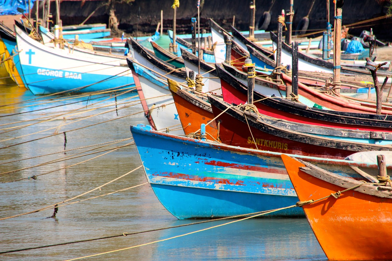 boats port colorful free photo