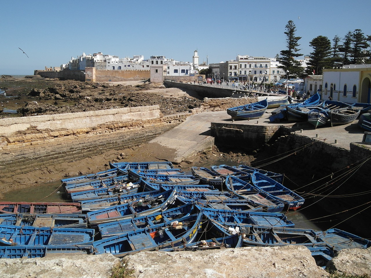 boats morocco essaouira free photo