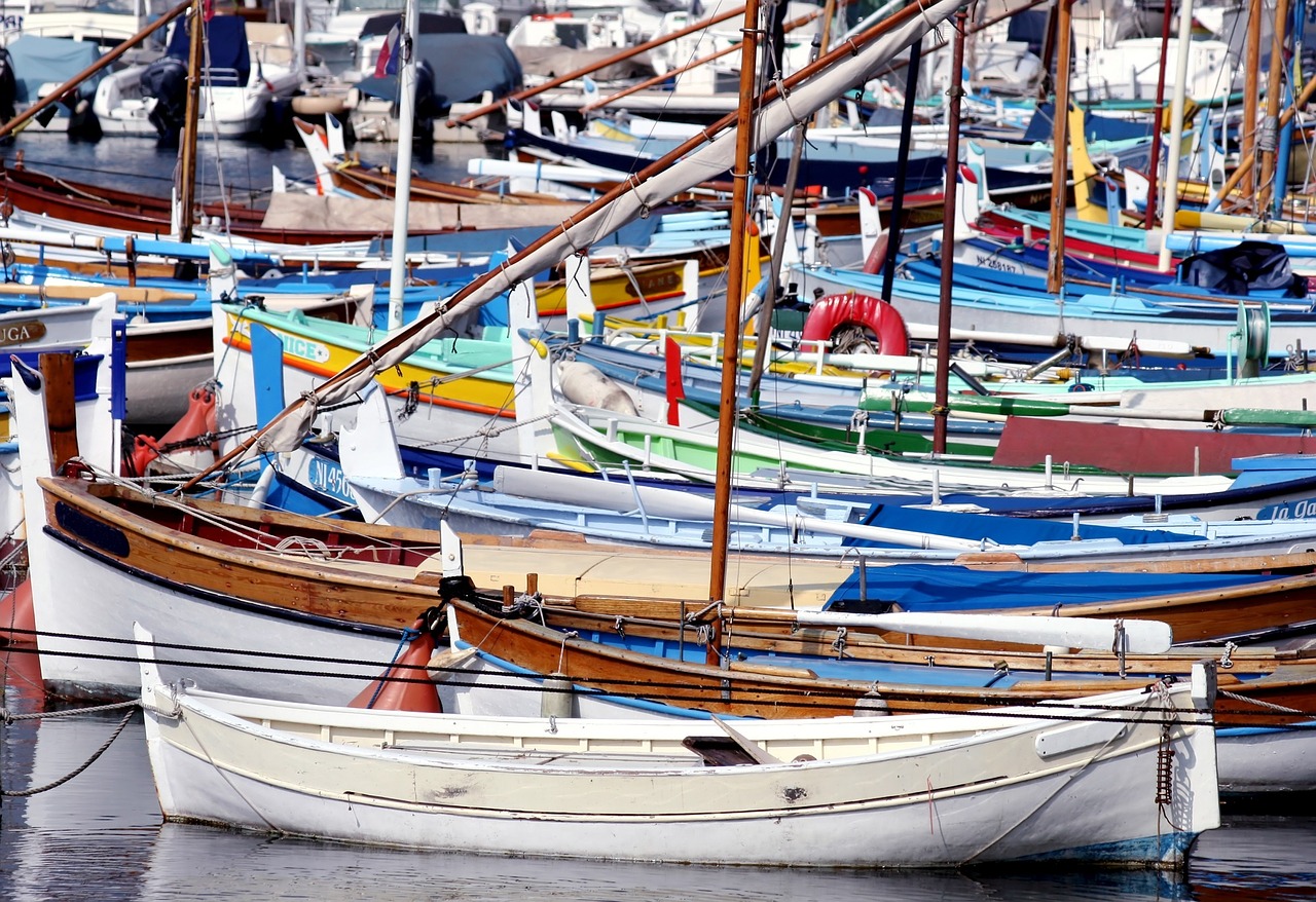 boats colorful marina free photo