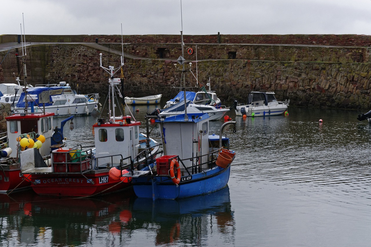 boats sea harbour free photo