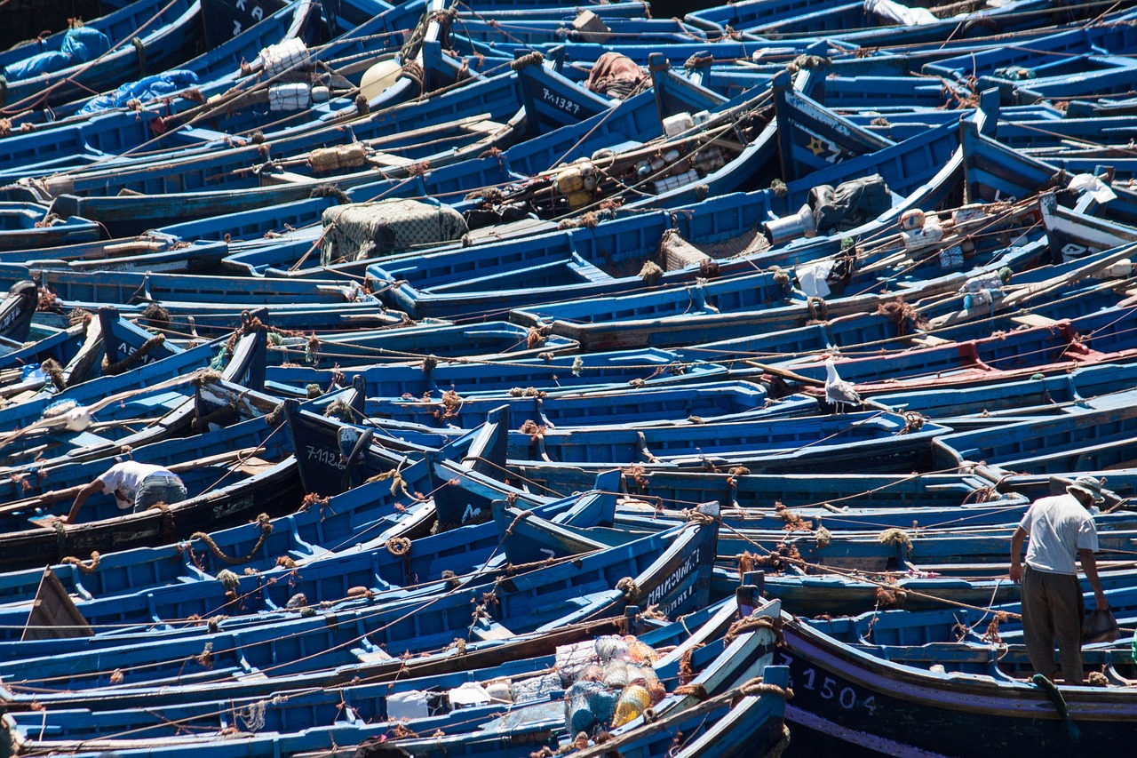 boats essaouira morocco free photo