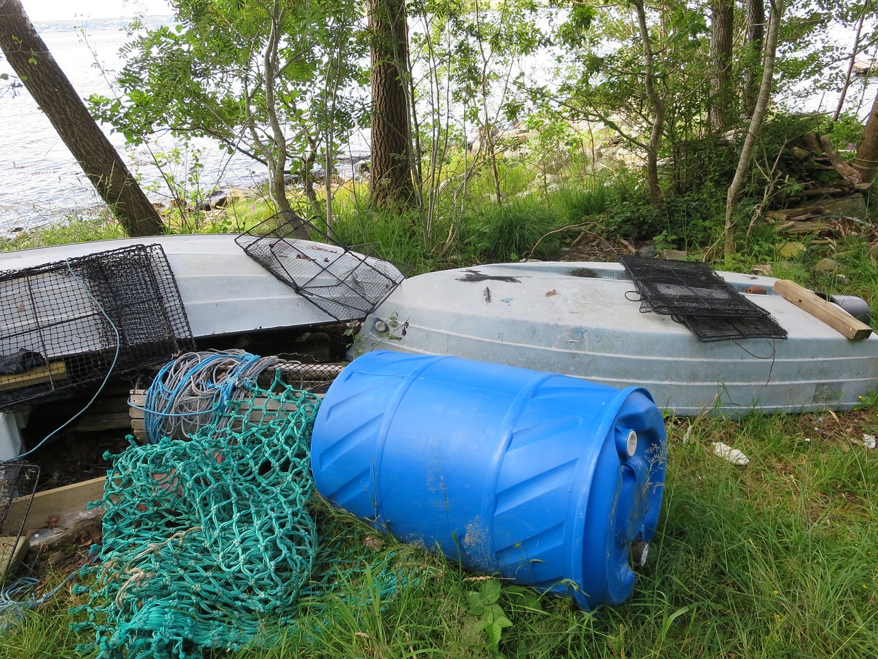 boats water trees free photo