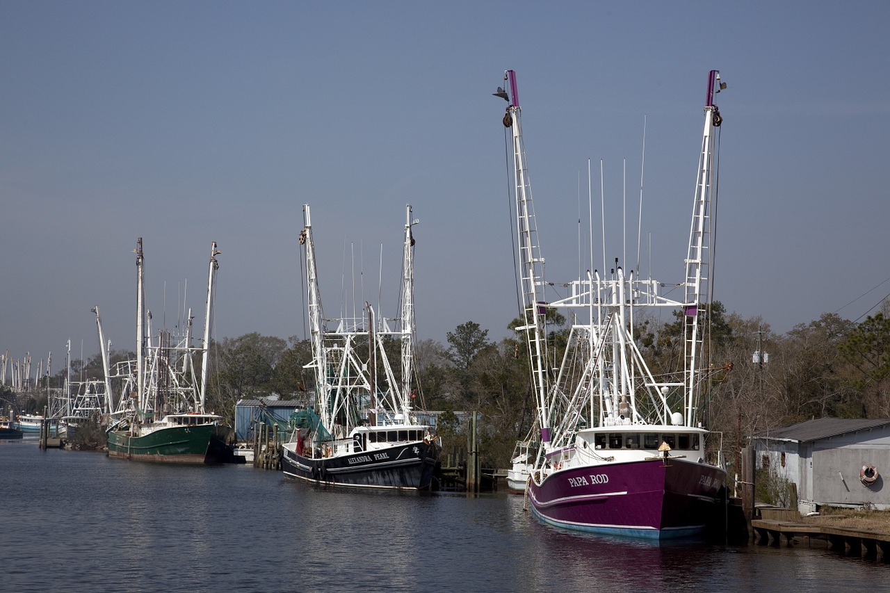 boats port sea free photo