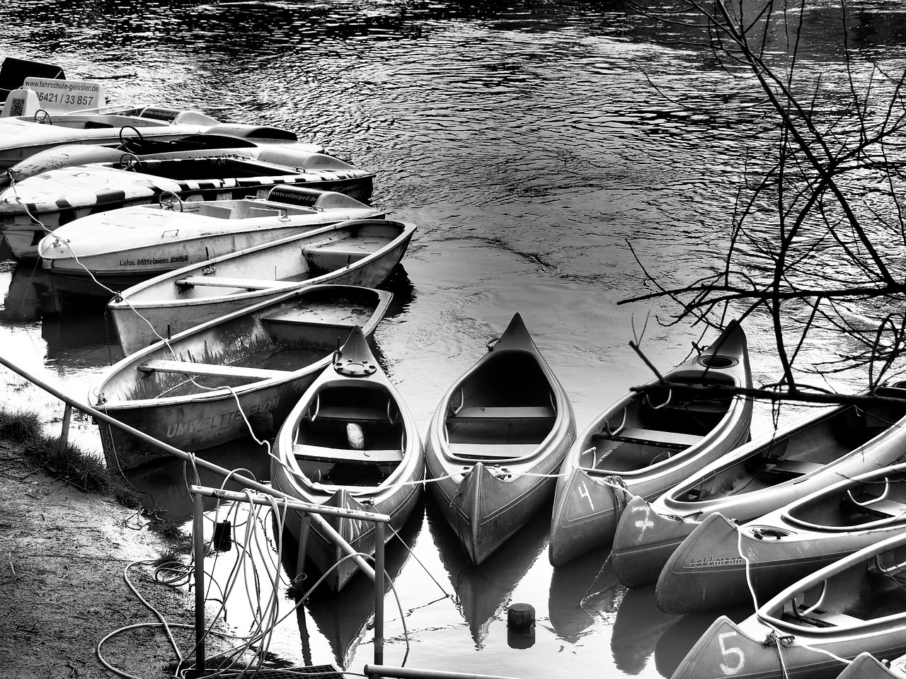 boats canoeing paddle free photo