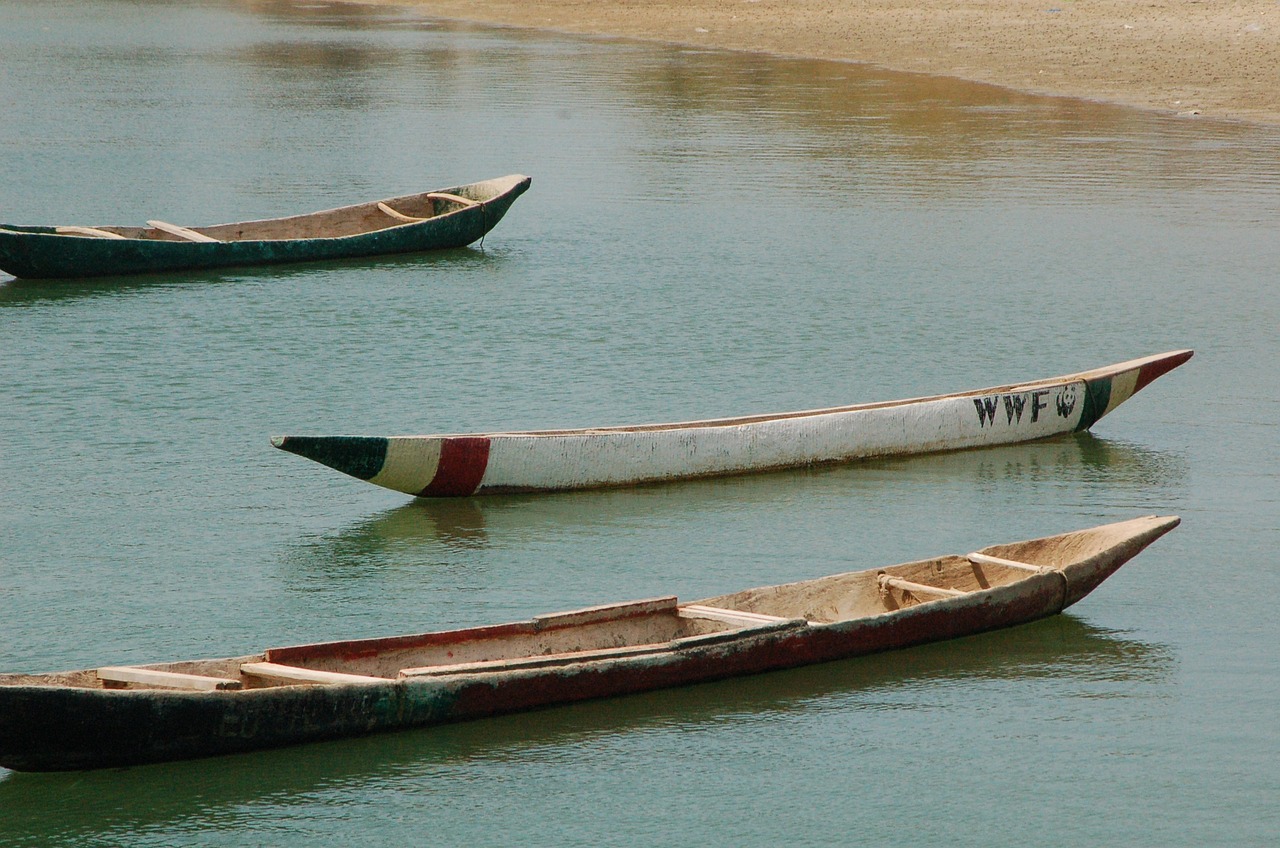 boats canoes fishing free photo