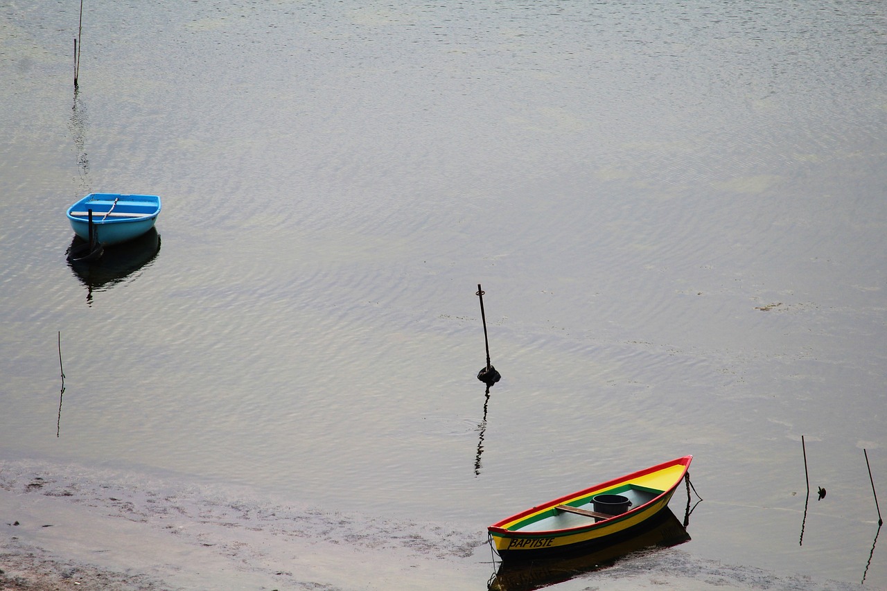 boats sea boat free photo