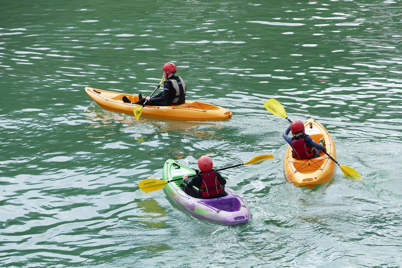 boats rowing water free photo