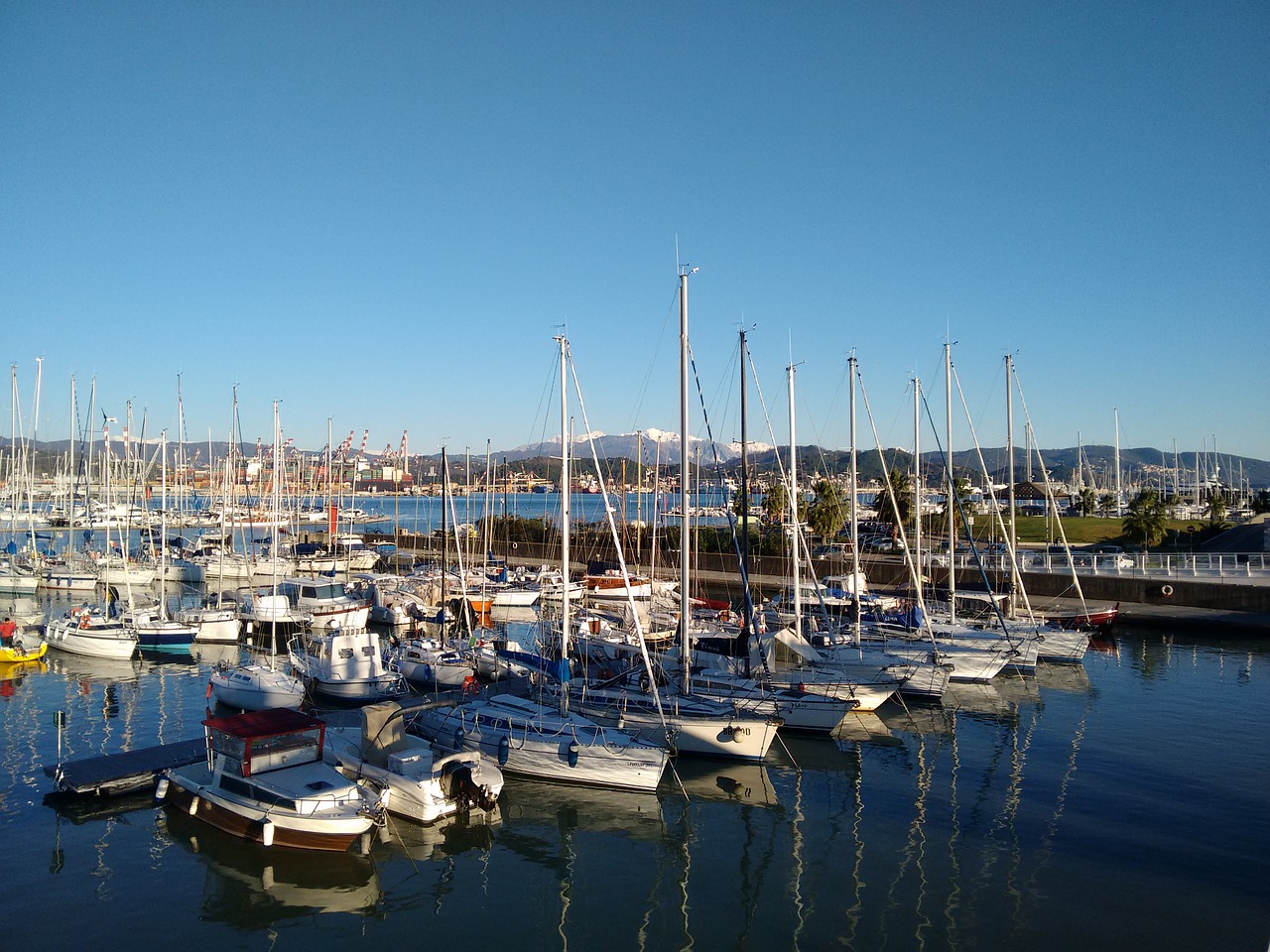 boats boat sea free photo