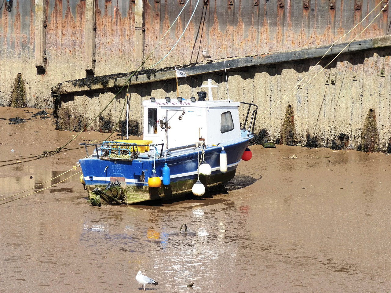 boats harbour port free photo