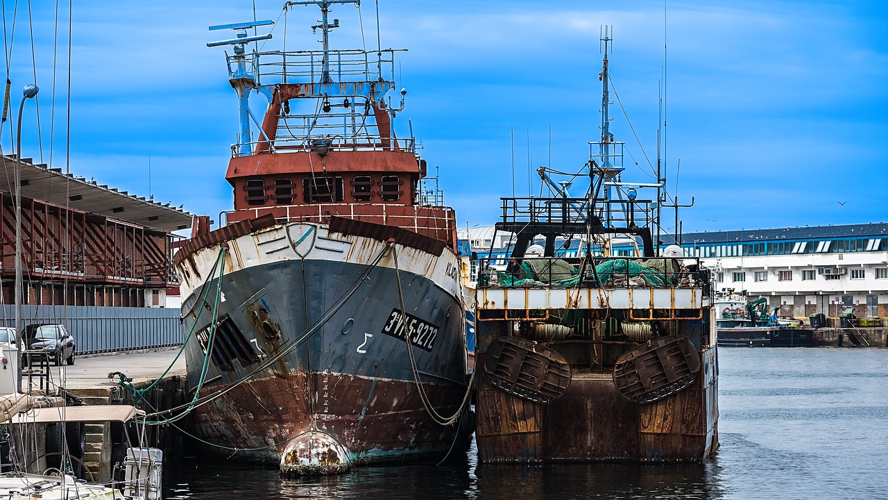 boats port sea free photo