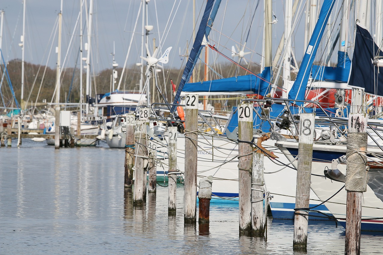 boats harbour water free photo