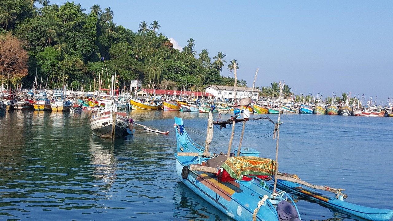 boats sri lanka scenery free photo