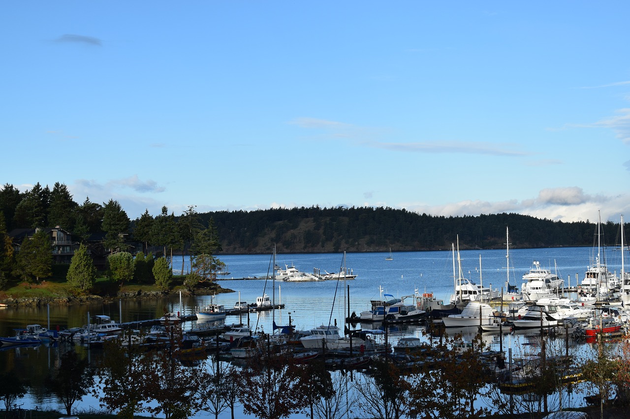 boats harbor water free photo