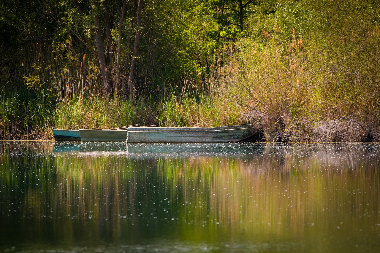 boats lake nature free photo