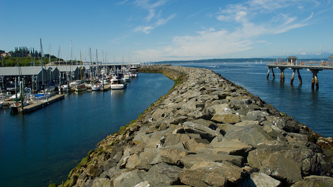 boats water marina free photo