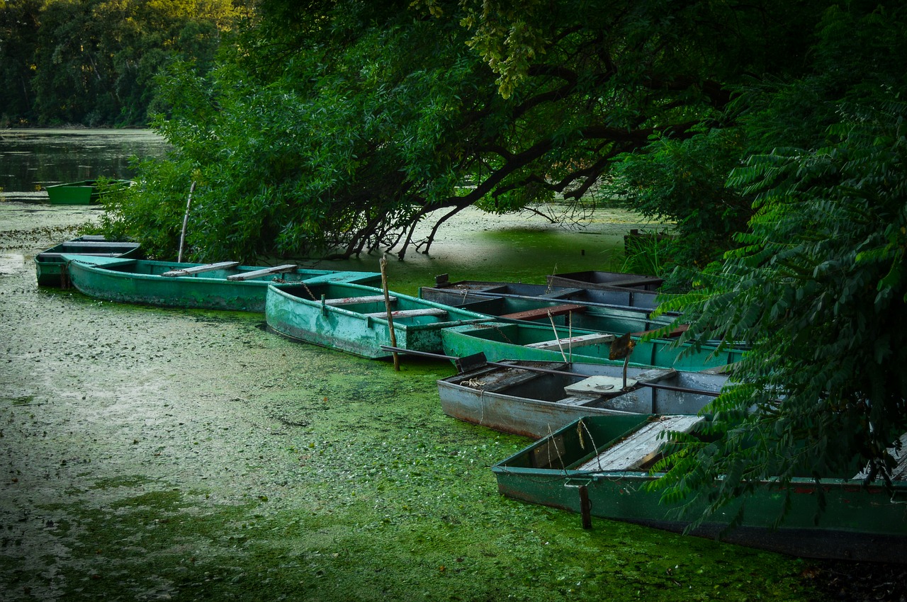 boats summer vacation free photo