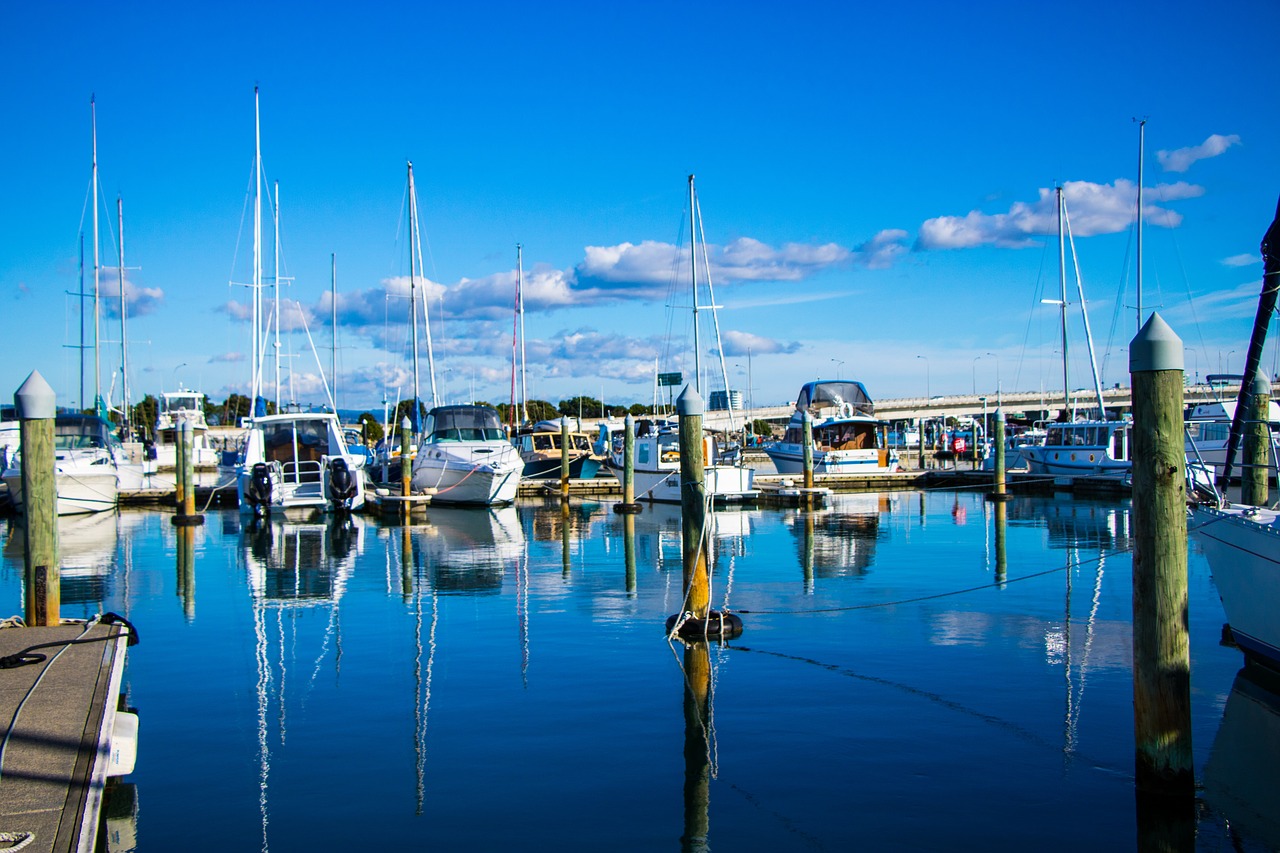 boats marina yacht free photo