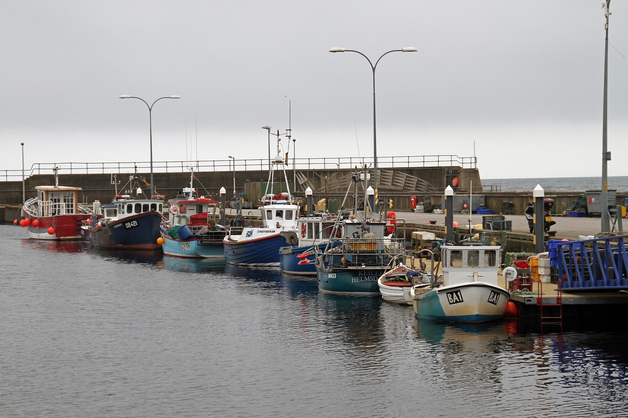 boats pier marina free photo