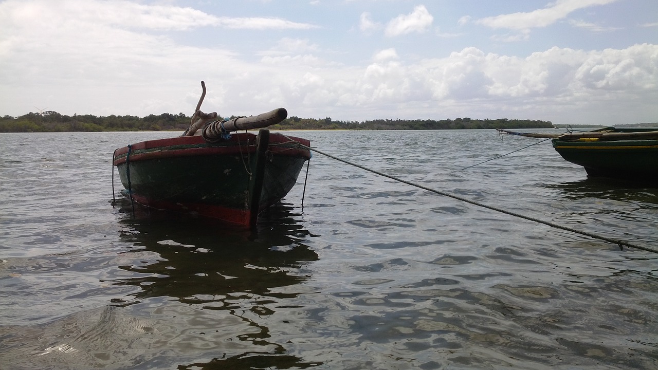 boats navigation leisure free photo