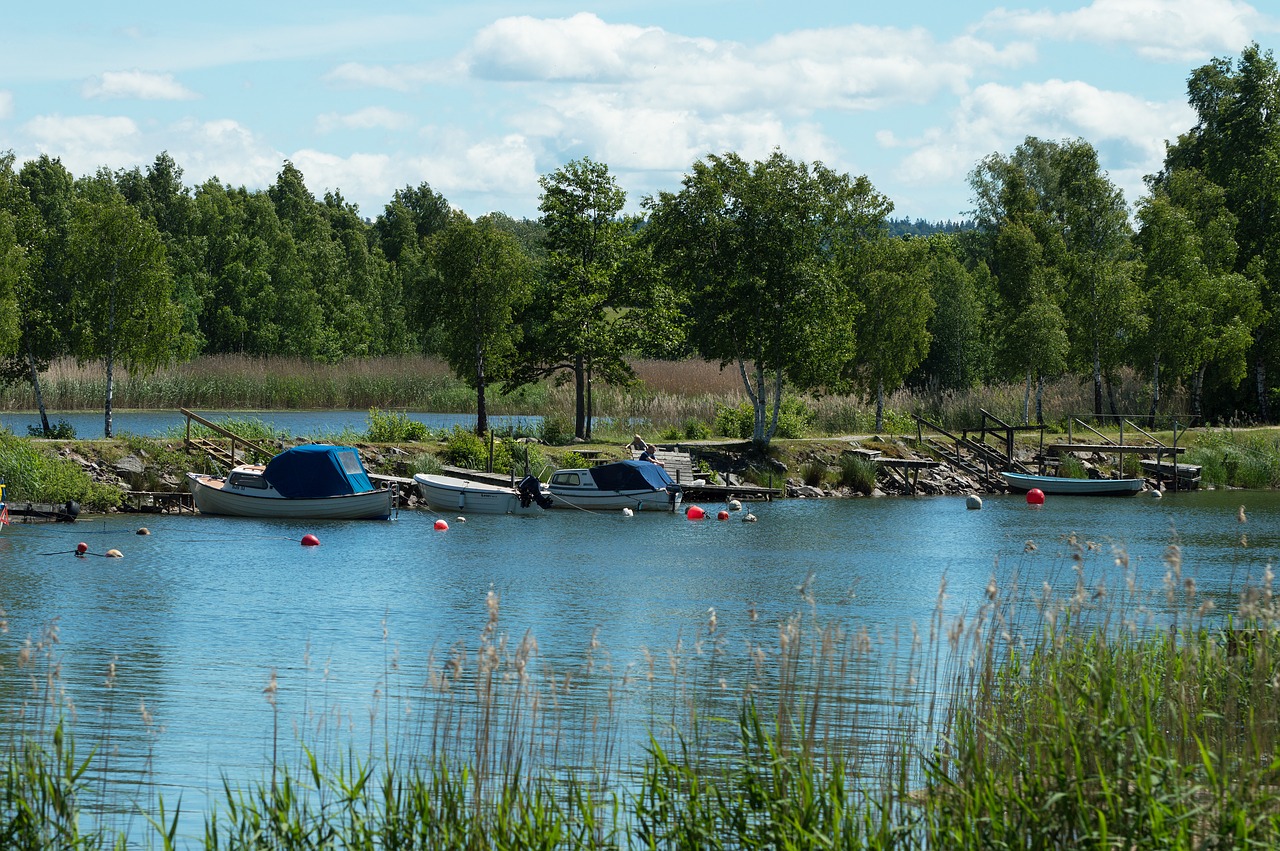 boats summer port free photo