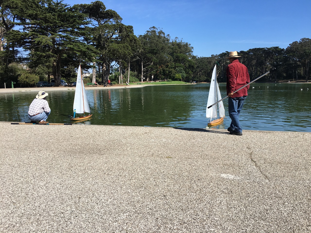 boats lake golden gate park free photo