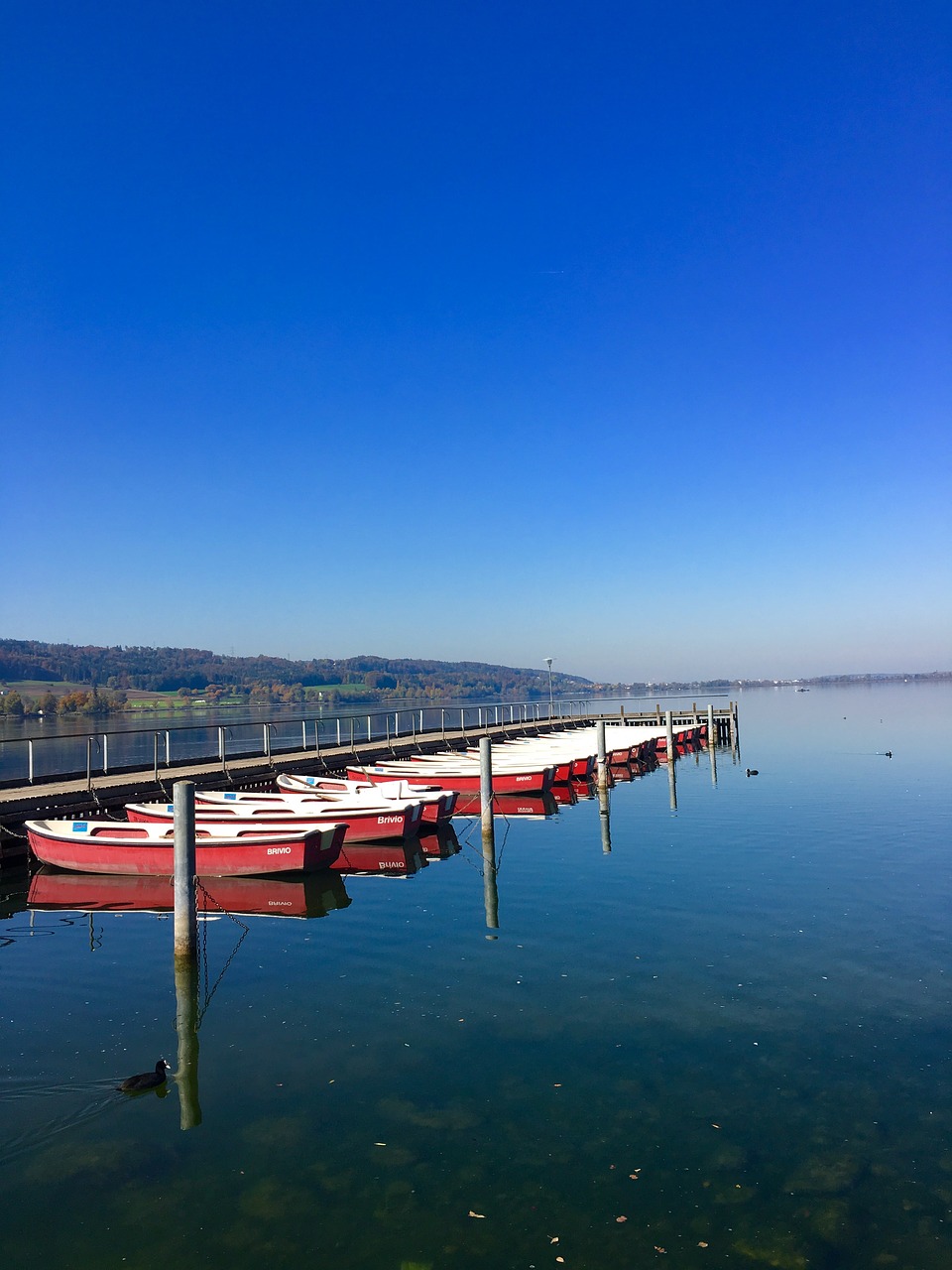 boats lake water free photo