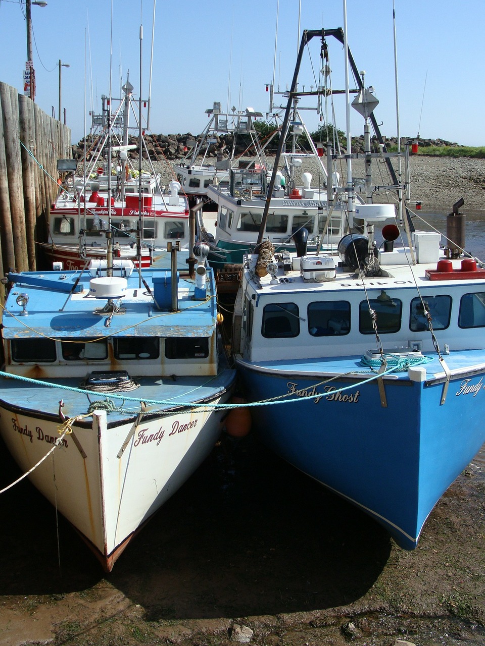 boats bay of fundy tide out free photo