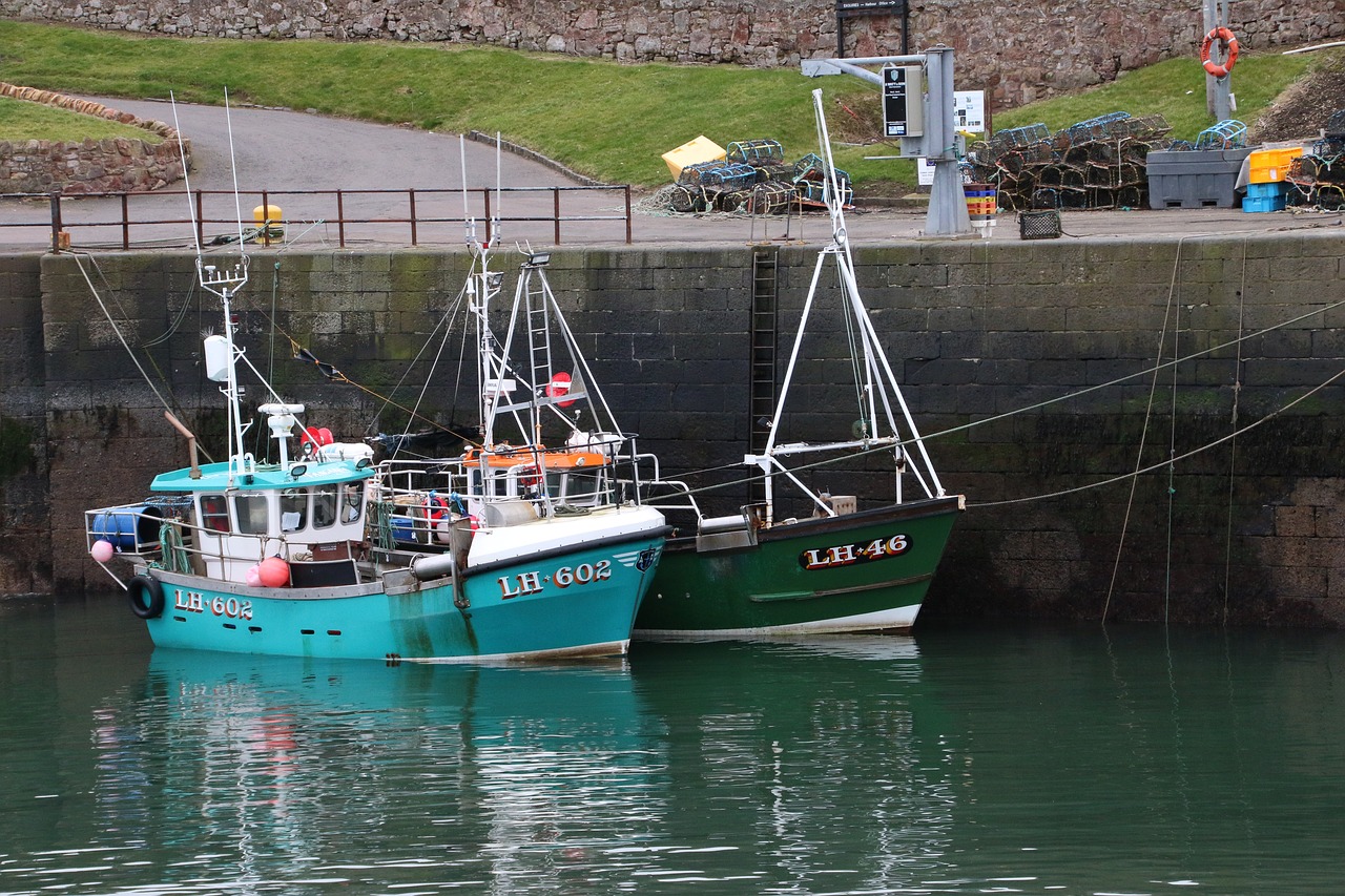 boats  tide  sea free photo