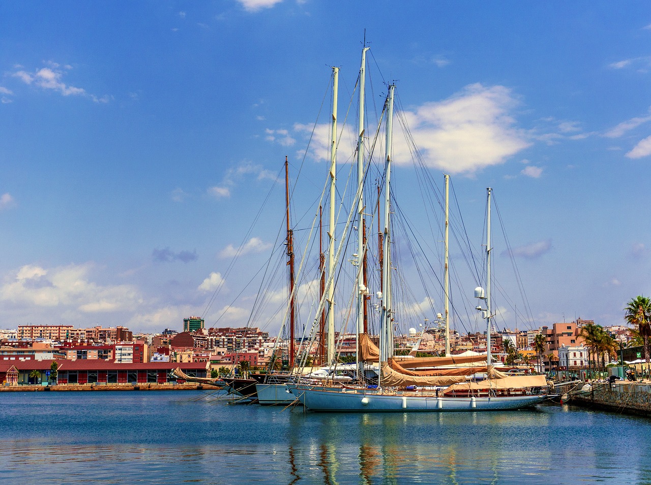 boats  port  sea free photo