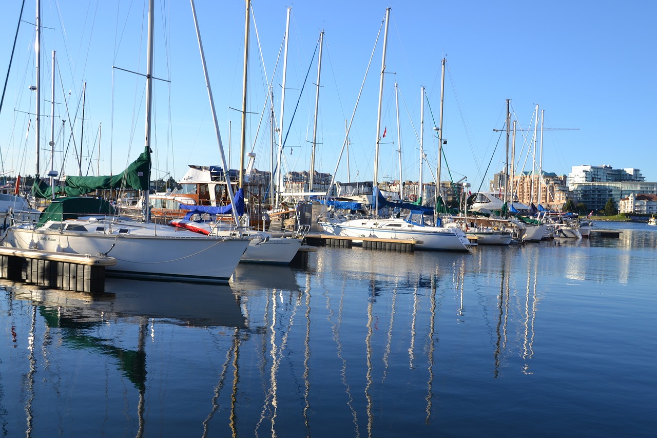 boats  sea  boat free photo