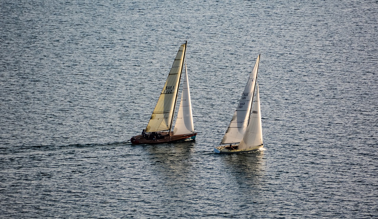 boats  lake  regatta free photo