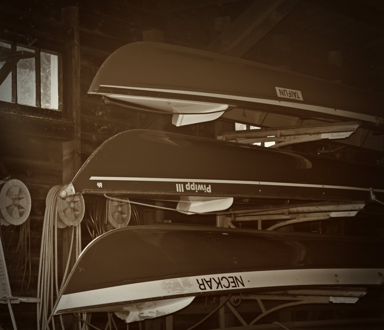 boats canoeing rhine free photo