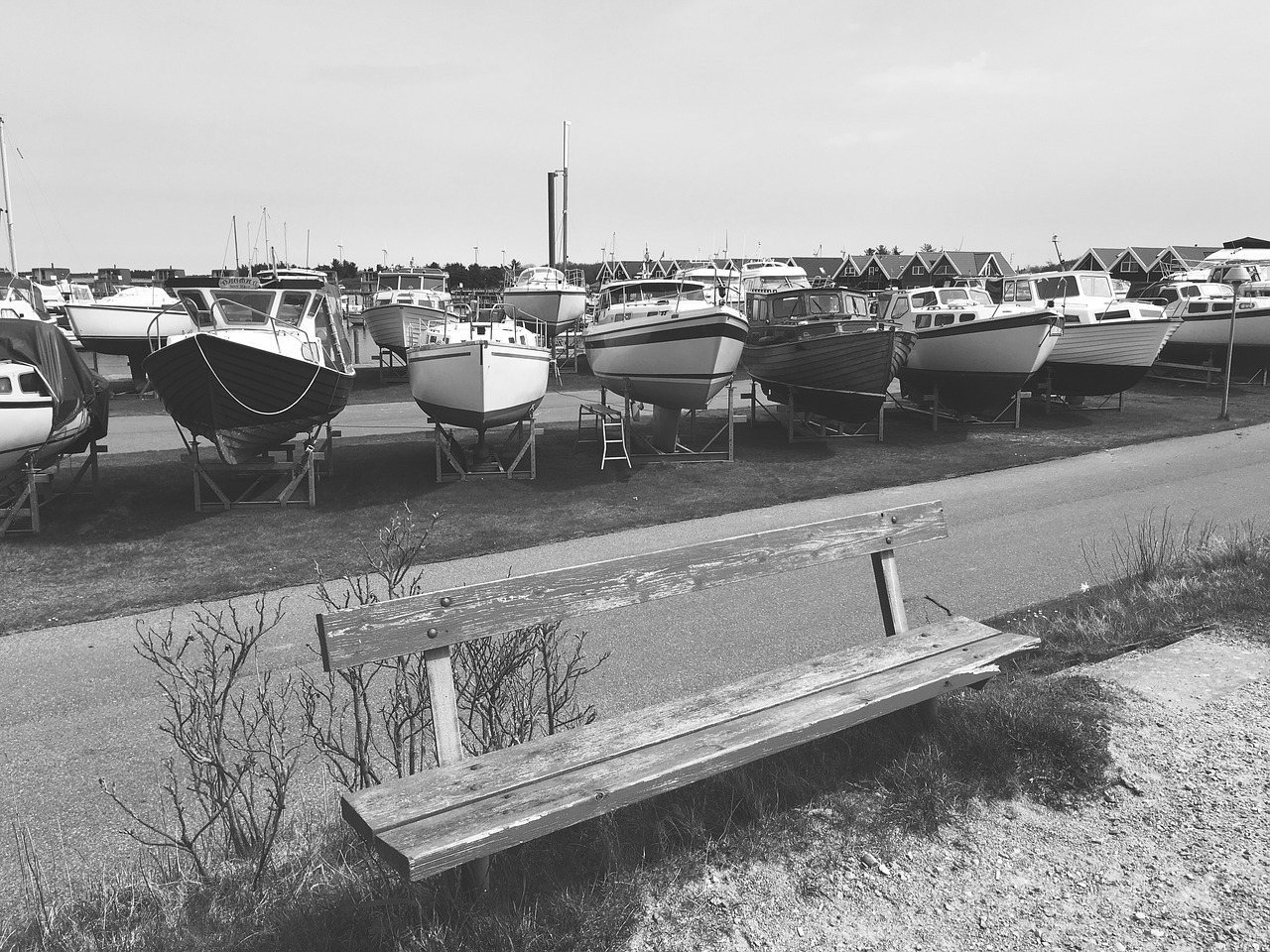 boats  greytone  sail free photo