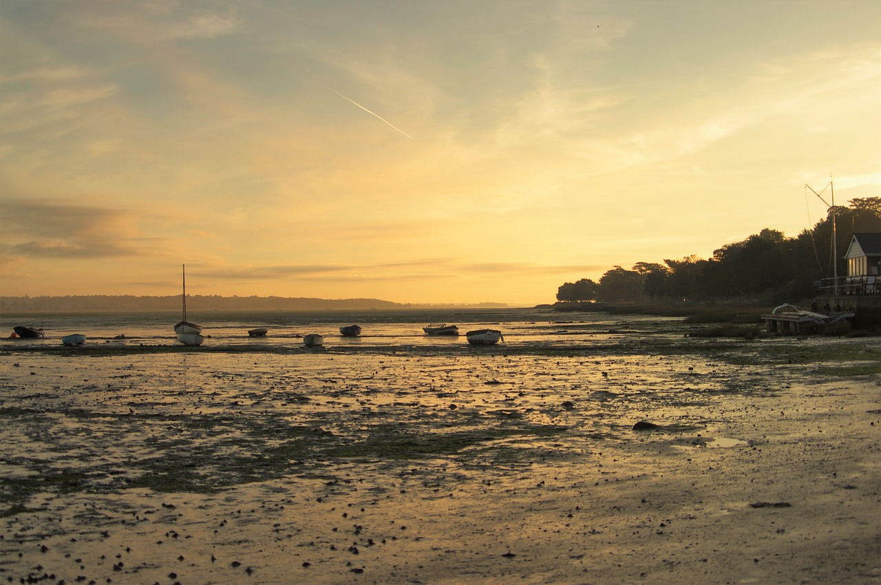 boats  estuary  low tide free photo