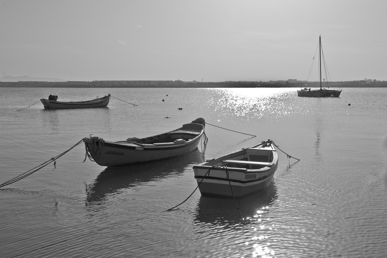 boats  river  black and white free photo