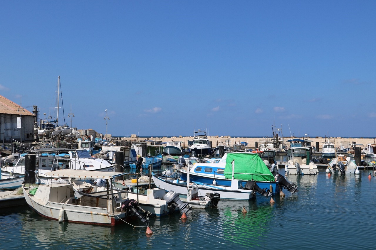 boats  marina  boat free photo