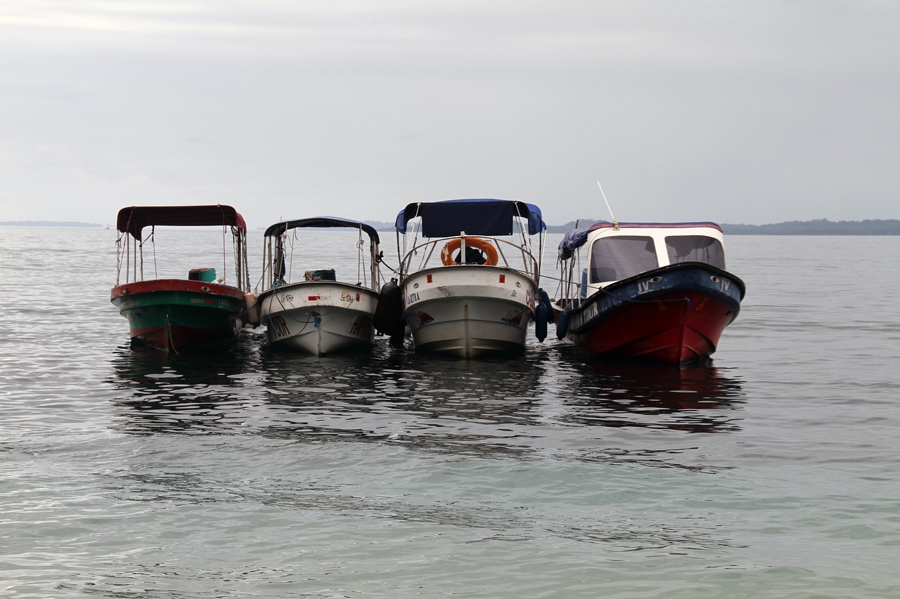 boats  water taxi  transportation free photo