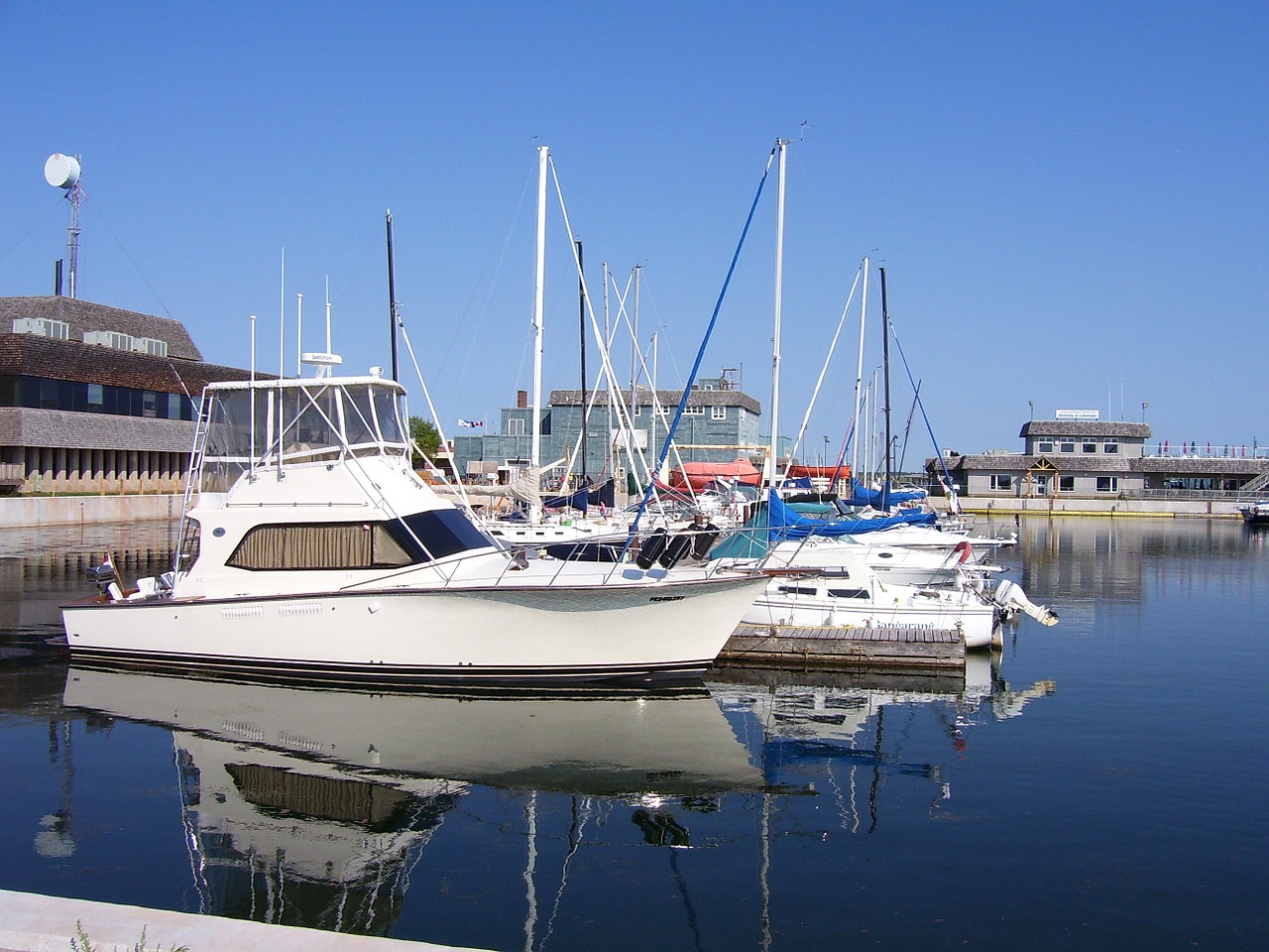 boats marina harbor free photo